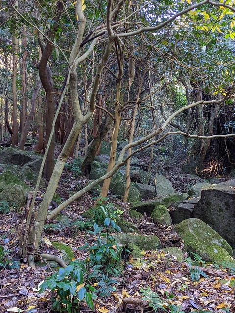 PXL_20221210_013245593