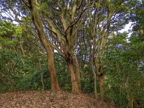 PXL_20220212_025940827