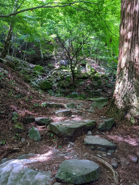 PXL_20210728_010820700