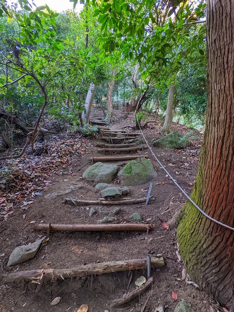 PXL_20221210_014648837