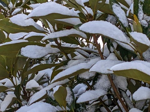 PXL_20221219_035507804