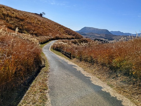 PXL_20211209_041534661