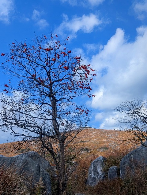 PXL_20251207_042057228