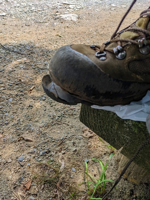 PXL_20220813_012010502