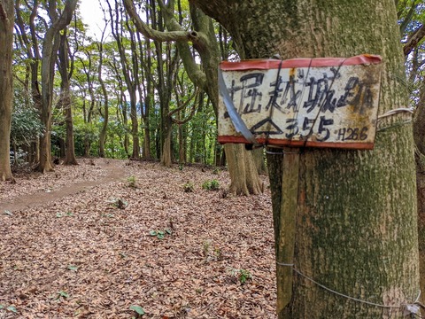 PXL_20220212_030654334