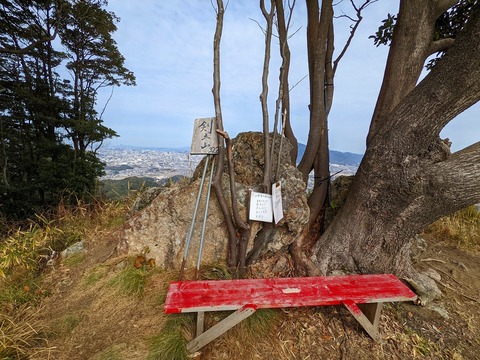 PXL_20220212_031656218