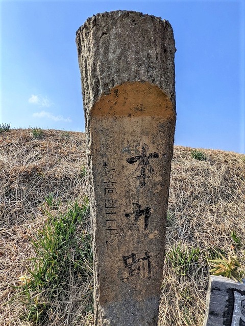 PXL_20220226_054439162 - コピー