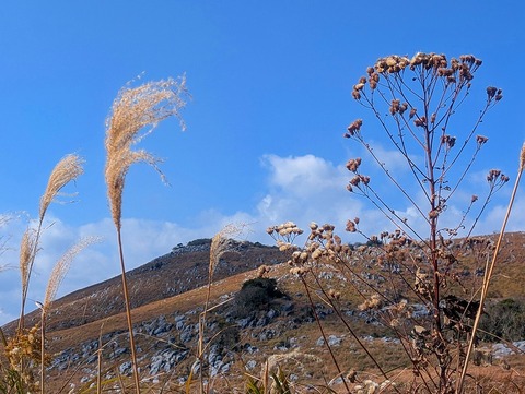 PXL_20251207_035054128