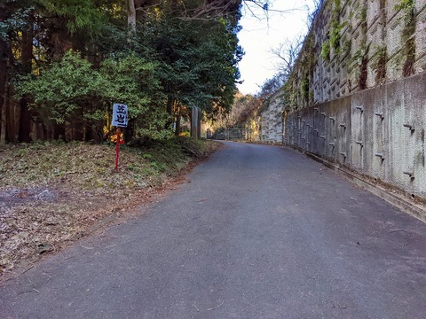 PXL_20220212_014335921