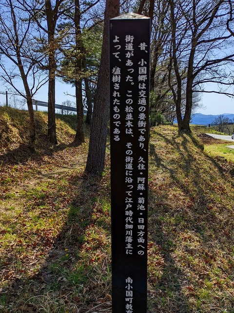 PXL_20220417_062408241