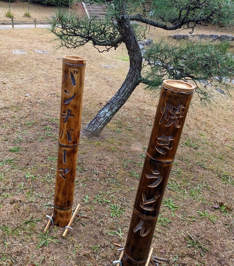 PXL_20221228_060203404