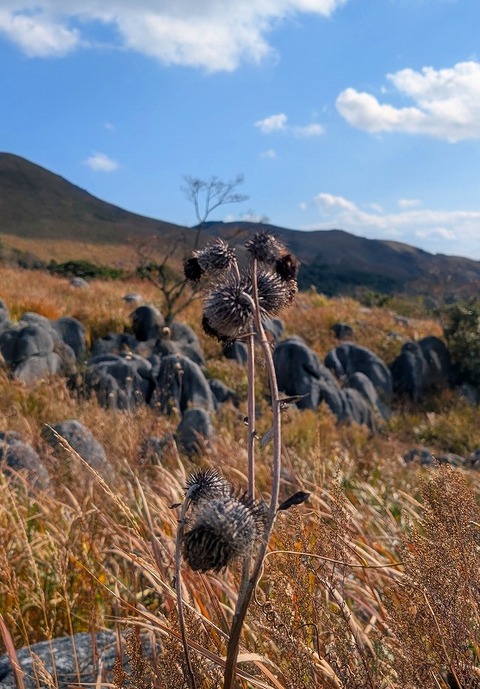 PXL_20251207_040530882.MP