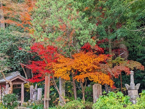 PXL_20221202_061203643