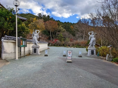 PXL_20221202_060538372