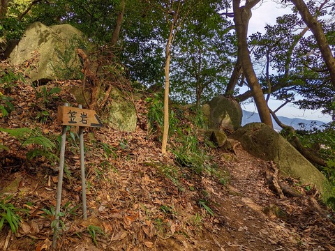 PXL_20220212_023735226