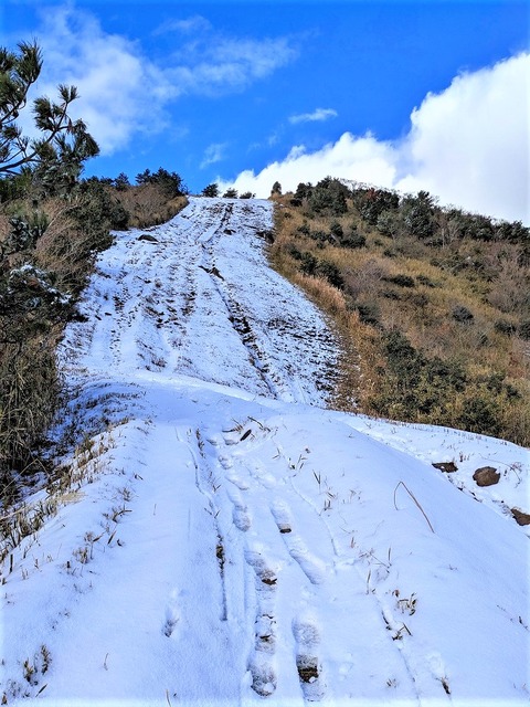 PXL_20221219_040701765