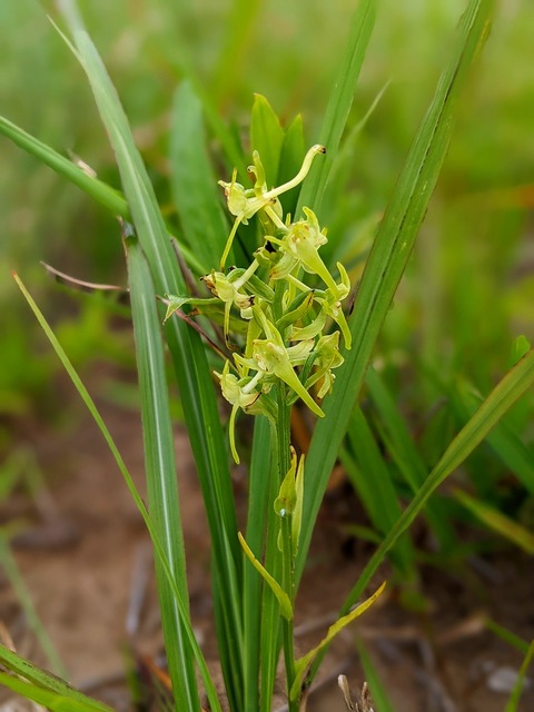 PXL_20220702_234218994.PORTRAIT