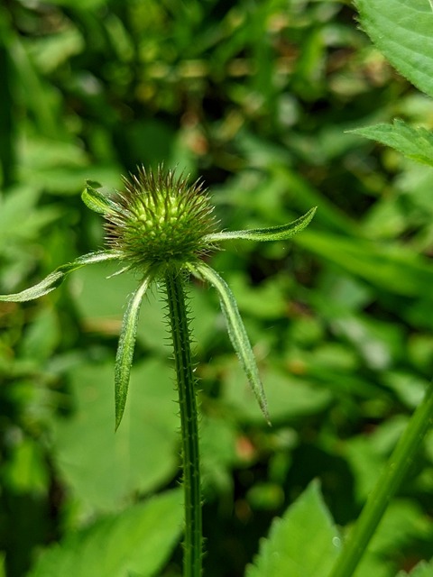 PXL_20220815_031116031.PORTRAIT