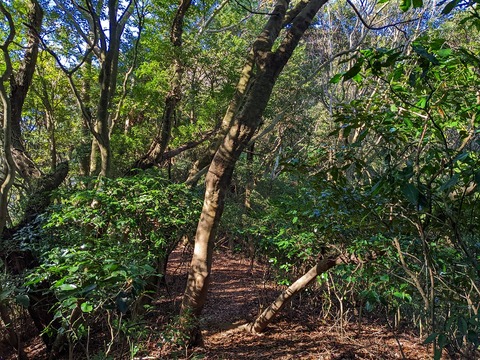 PXL_20221210_023616068