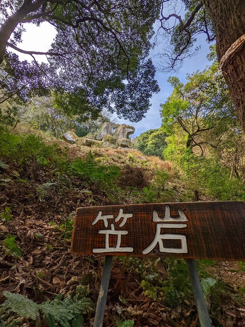 PXL_20220212_023044940