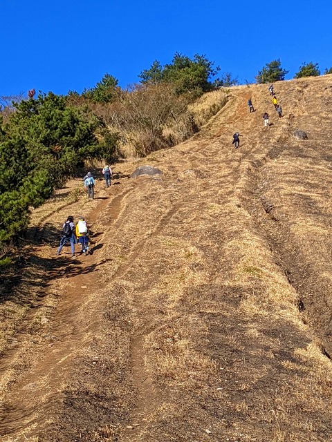 PXL_20211209_021025067