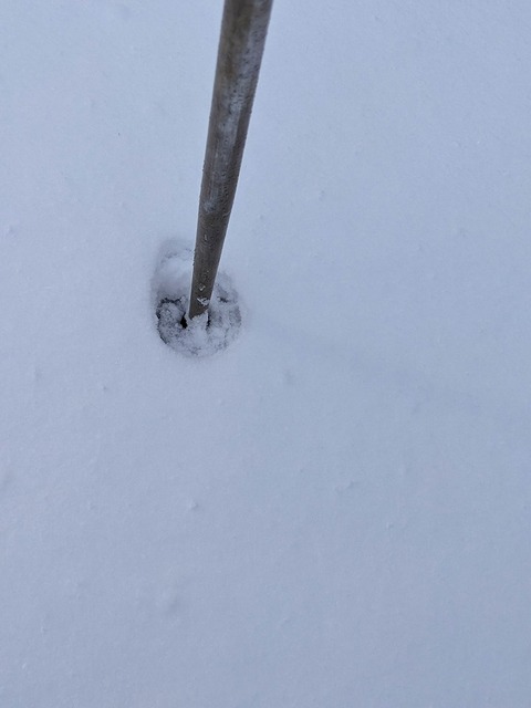 PXL_20221219_041800396