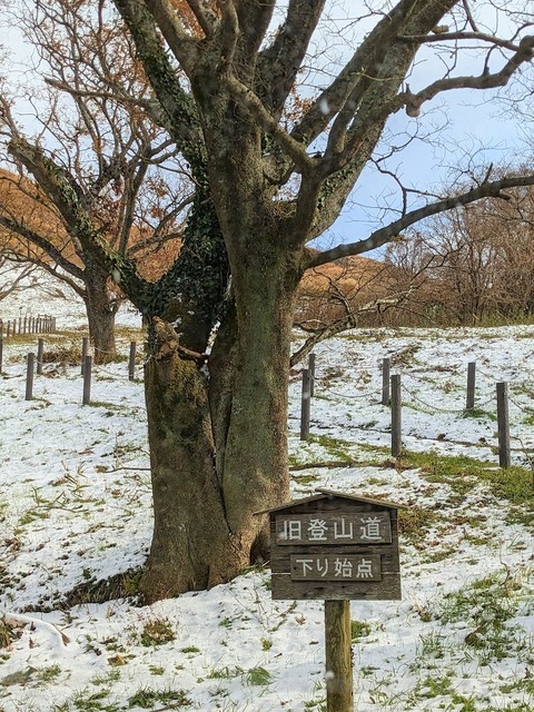 PXL_20221219_020529638