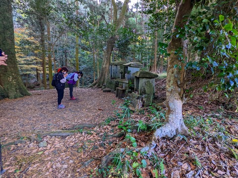 PXL_20221210_010929844