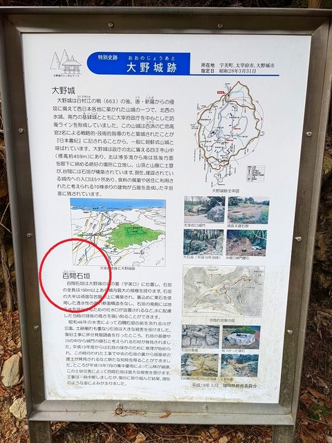 46