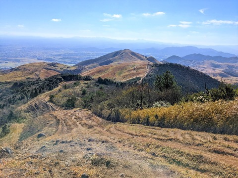 PXL_20211209_025528278