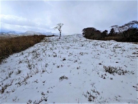 PXL_20221219_034855139