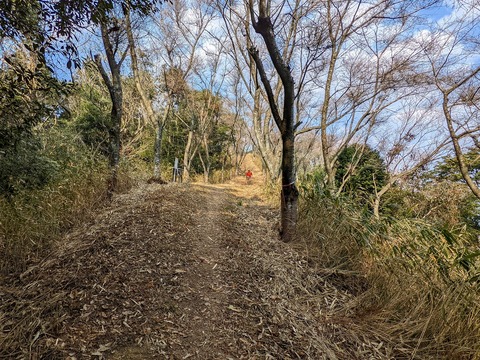 PXL_20220226_053009066