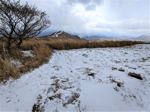 PXL_20221219_034924394