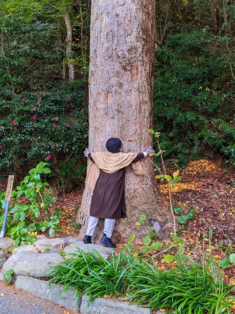 PXL_20221202_061959330