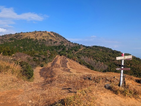 PXL_20251207_013812677