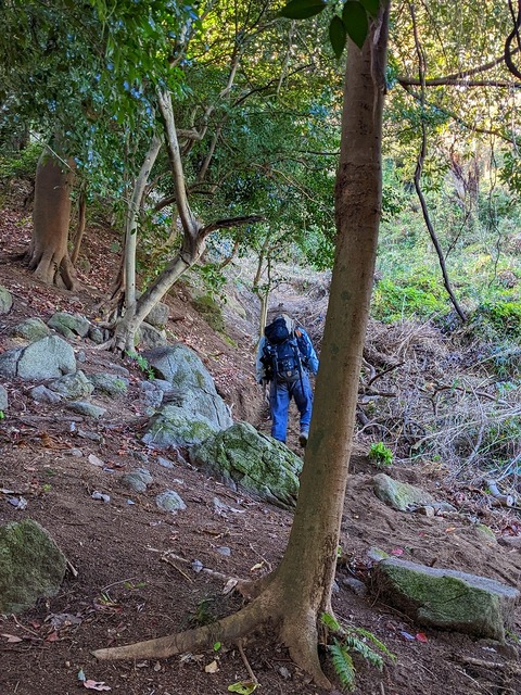 PXL_20221210_014611889