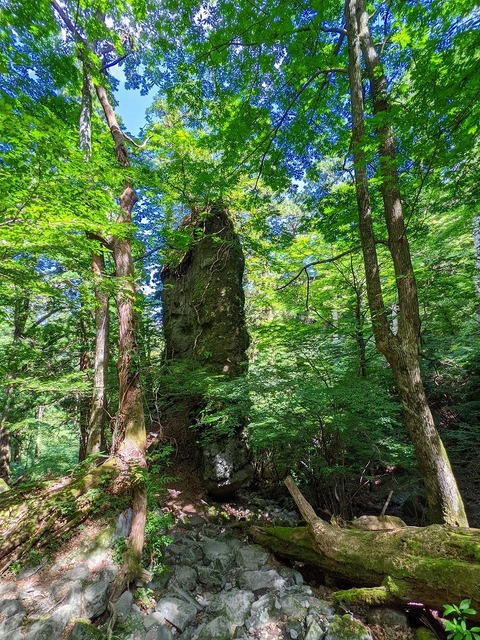 PXL_20210728_012519378
