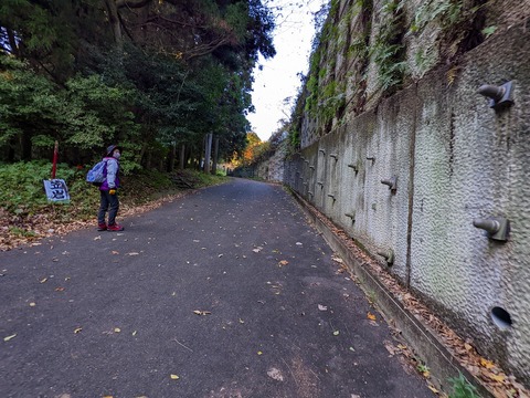 PXL_20221210_010744157