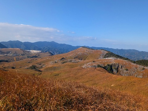 PXL_20251207_012457563.MP