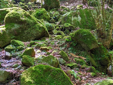 PXL_20210728_011635875