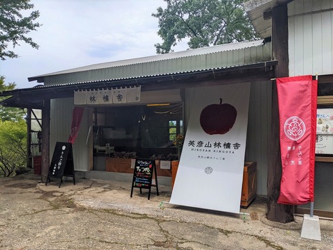 PXL_20210821_020243677