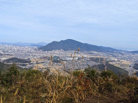 PXL_20220212_031705930