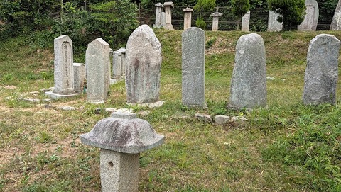 PXL_20260828_025509053