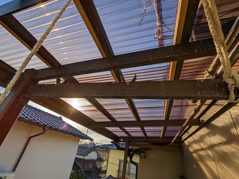 PXL_20220920_075243599