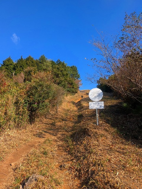 PXL_20251207_014940379