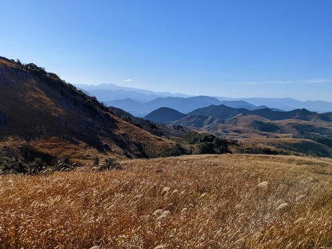 PXL_20211209_011212132