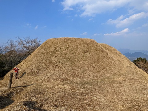 PXL_20220226_053807324