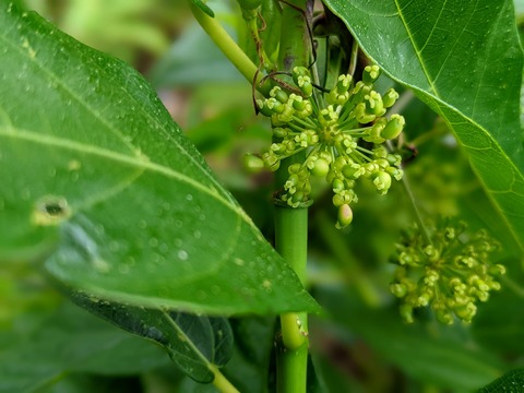 PXL_20220703_023028109.PORTRAIT