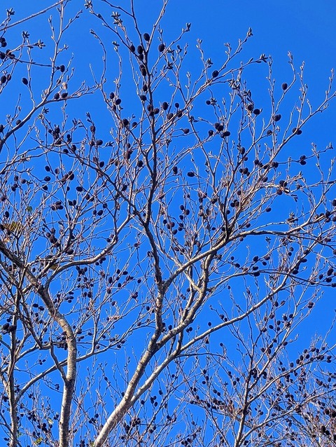 PXL_20251207_020605987