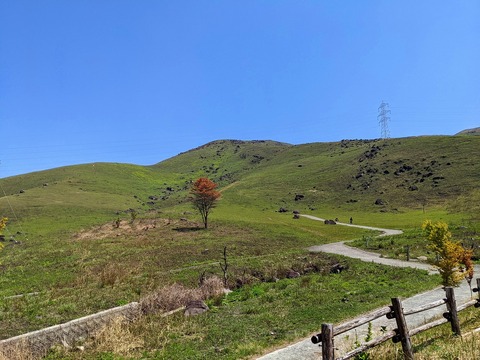 PXL_20220409_031642784